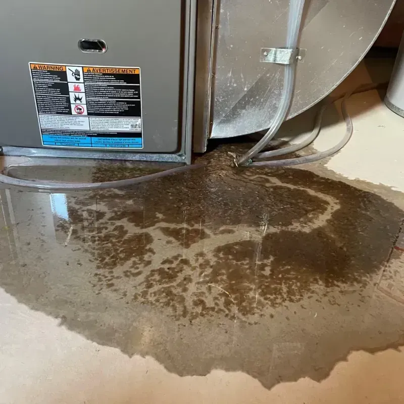 Appliance Leak Cleanup in Dayton, NV